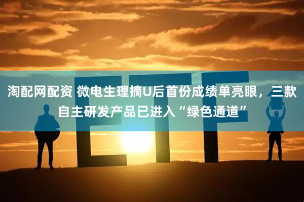 淘配网配资 微电生理摘U后首份成绩单亮眼，三款自主研发产品已进入“绿色通道”