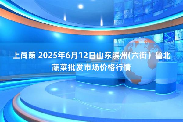 上尚策 2025年6月12日山东滨州(六街）鲁北蔬菜批发市场价格行情